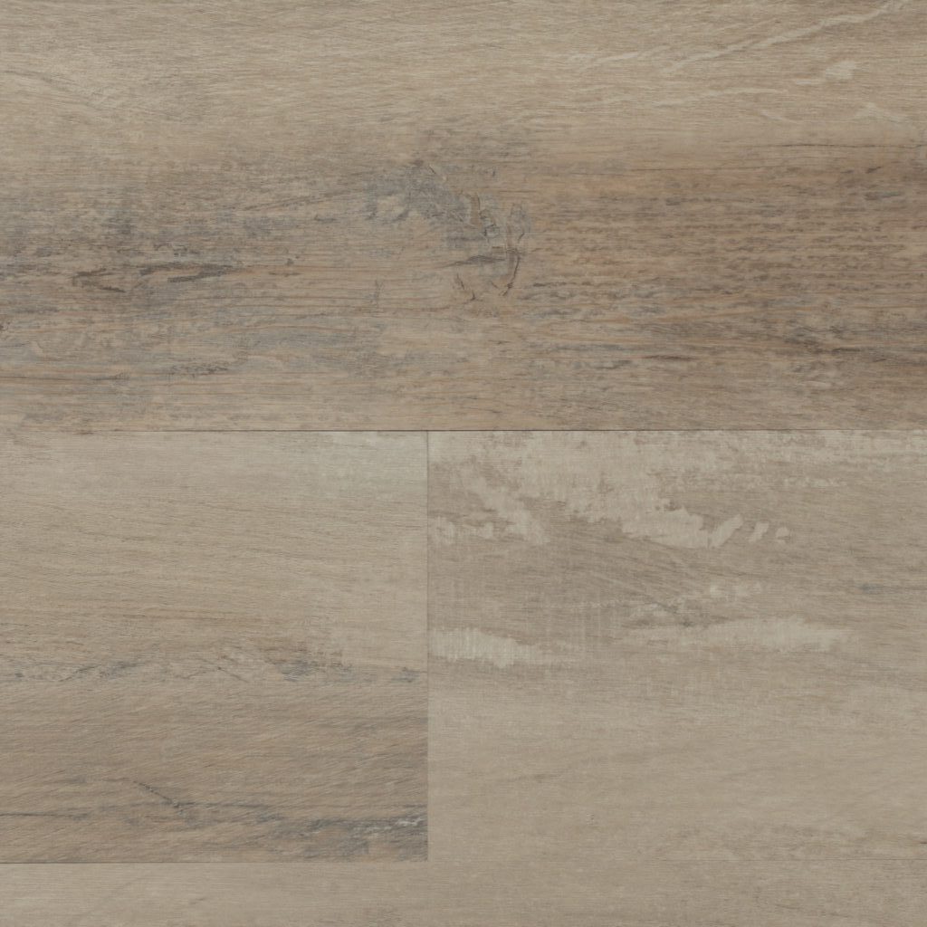 Taiga Aurra 2.0 - Natural Almond
