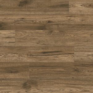 Home Decorators Collection -Medium Tan & Beige