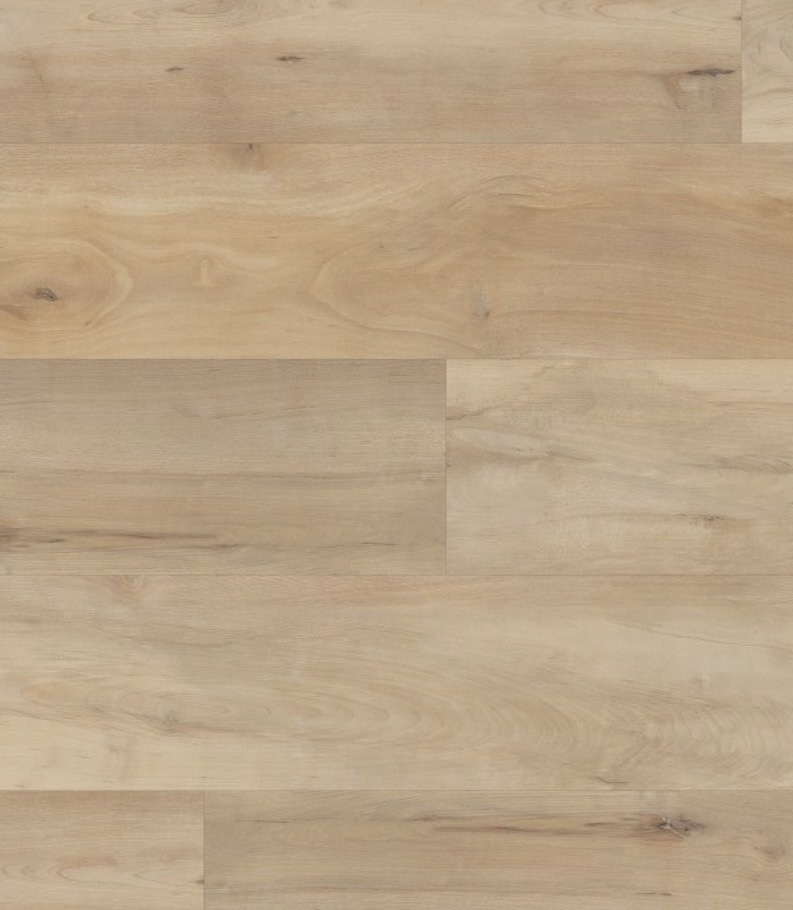 COREtec BROOKFIELD MAPLE - 04039